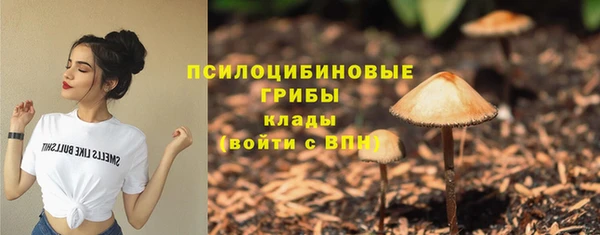 не бодяженный Алзамай