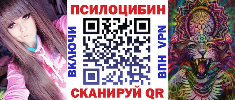 blacksprut tor Лабинск Псилоцибиновые грибы Psilocybe